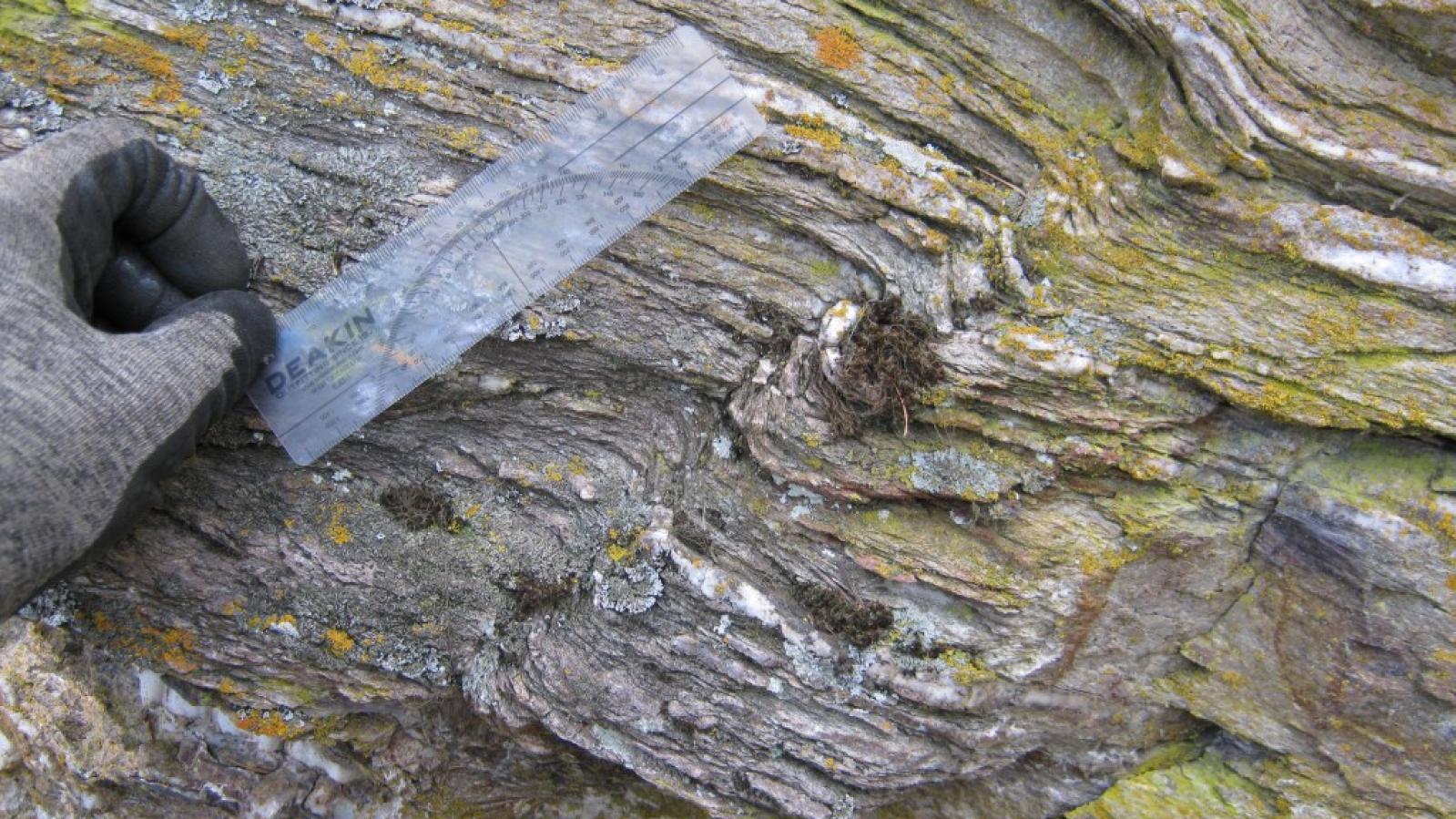 Deformed Outcrop of Bedrock at Acacia Project