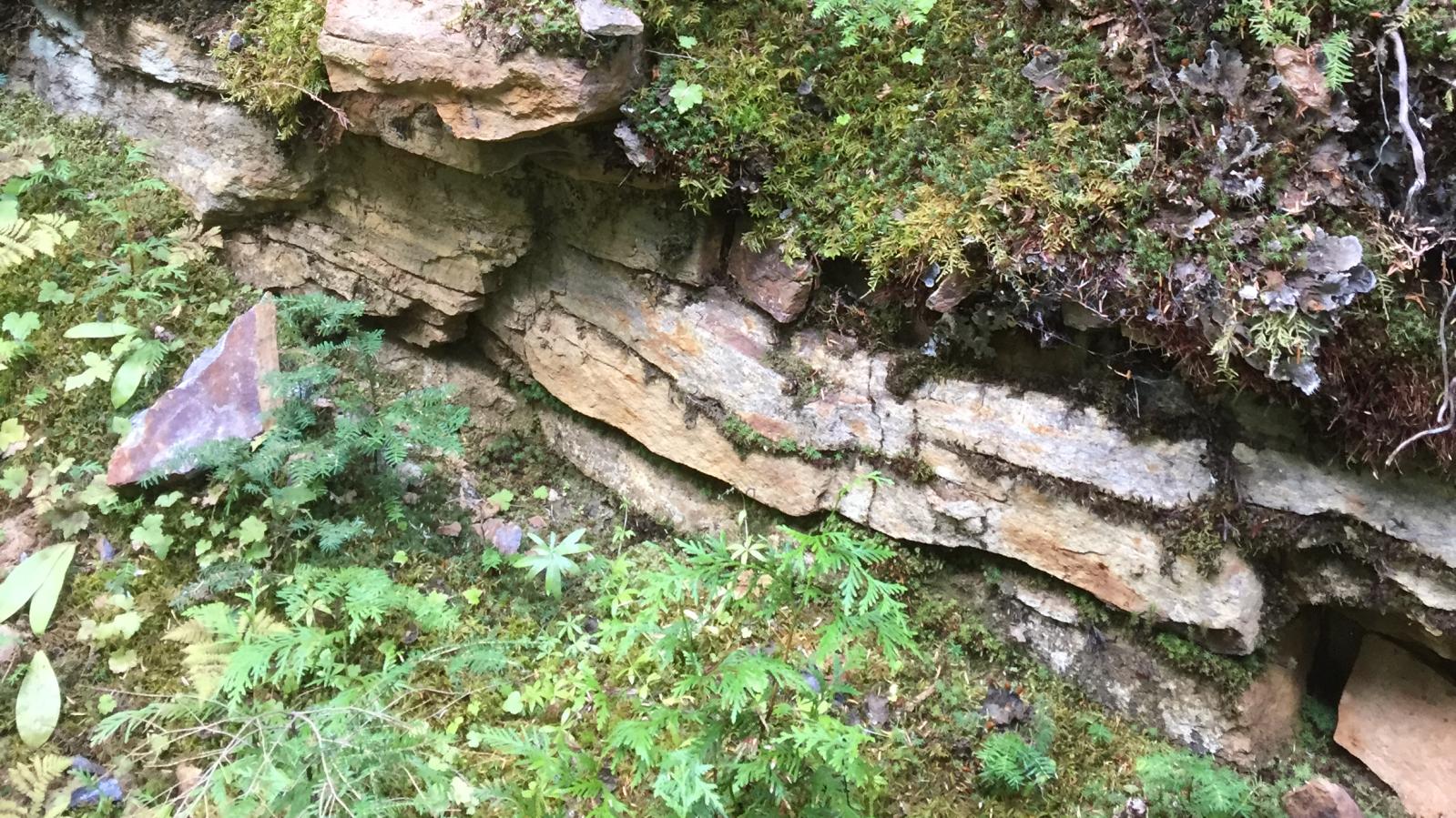 Mineralized Outcrop ot the Slocan Large-Flake Graphite Project