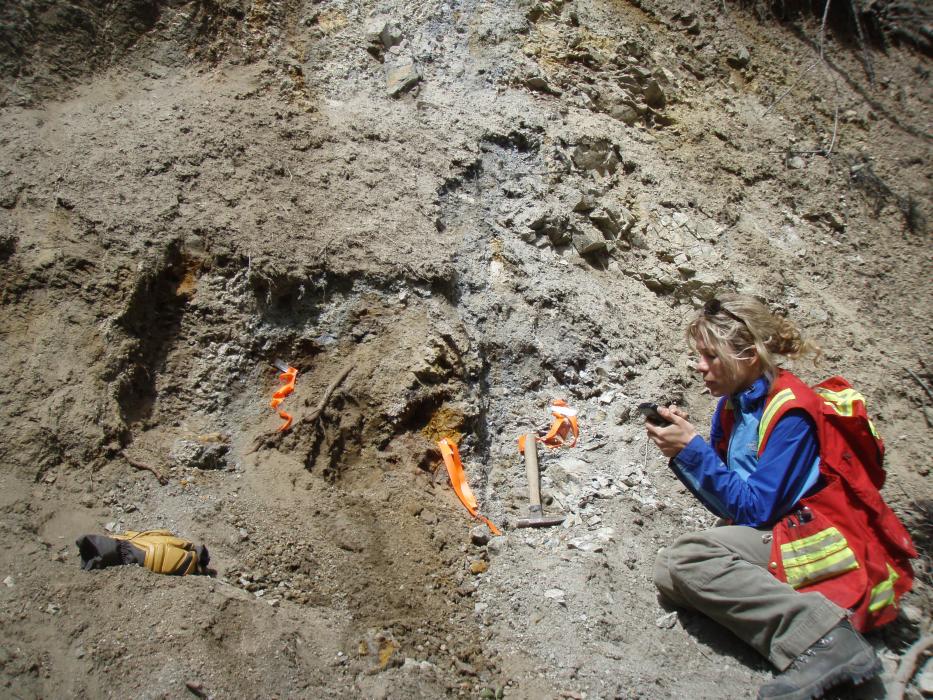 Collecting samples a the Row Zone of the Iron Range project in 2012