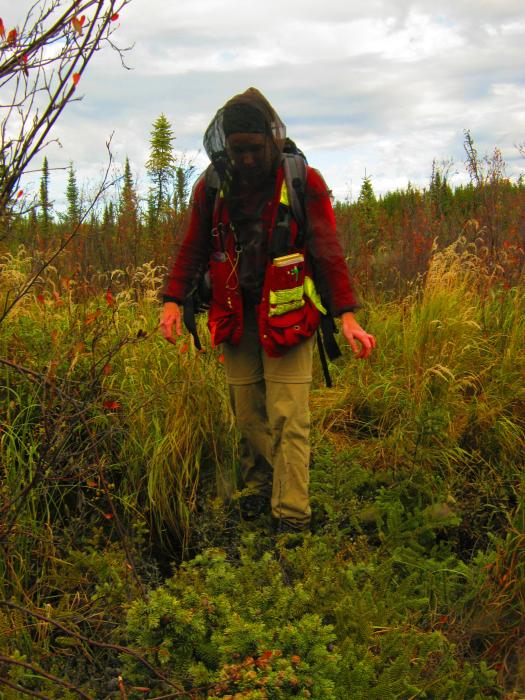 Head net and full clothing cover for exploring - any bugs out there? Are you hot?