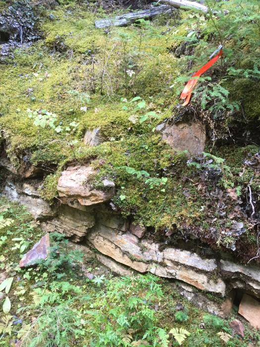 Mineralized Outcrop ot the Slocan Large-Flake Graphite Project